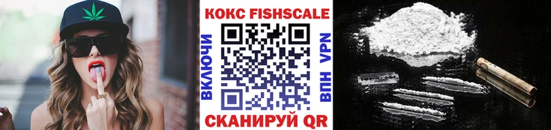 Купить закладки  Фёдоровский  Cocaine Эквадор 