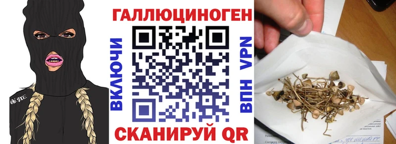 Купить  Фёдоровский  Псилоцибиновые грибы Psilocybine cubensis 